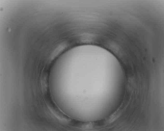 X0000062930116200601202036