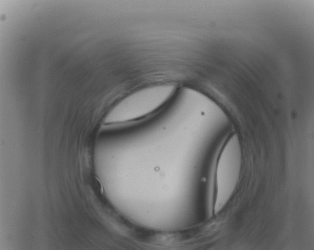 X0000062930117200601202036