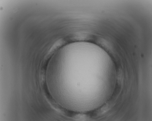 X0000062930119200601202036