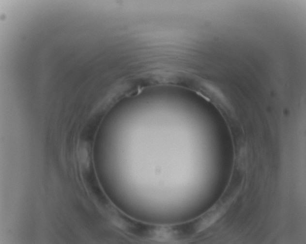 X0000062930121200601202036