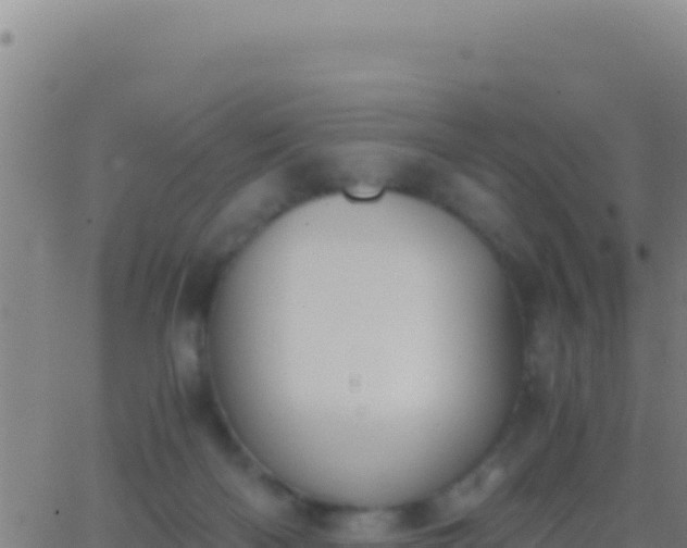 X0000062930122200601202036