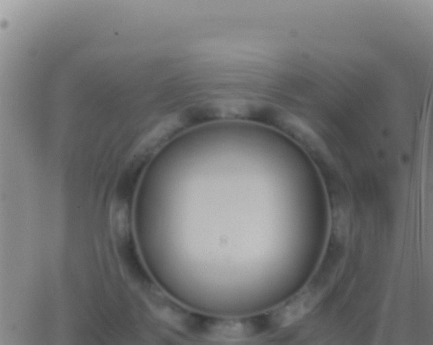 X0000062930123200601202036