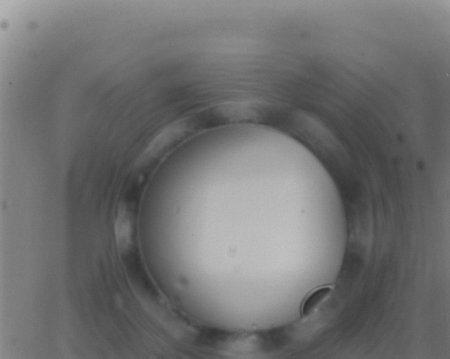 X0000062930124200601202036