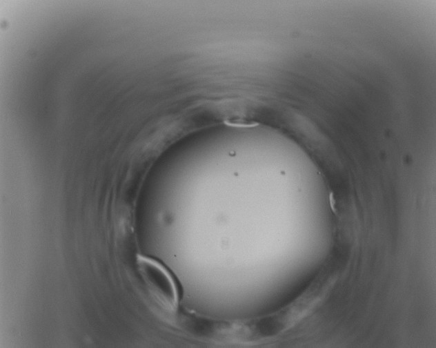 X0000062930125200601202036