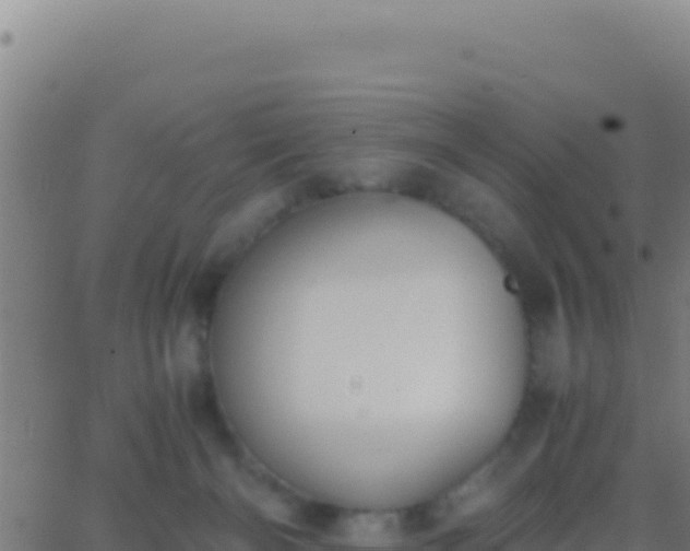 X0000062930126200601202036