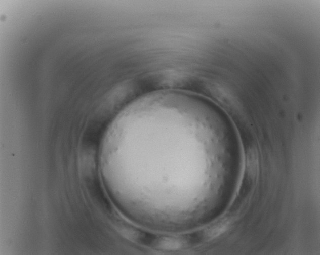 X0000062930127200601202036