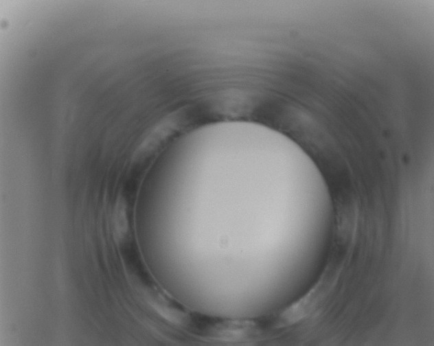 X0000062930128200601202036