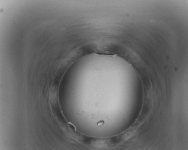 X0000062930129200601202036