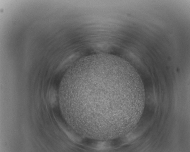 X0000062930130200601202036