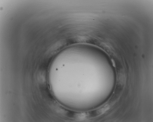 X0000062930131200601202036