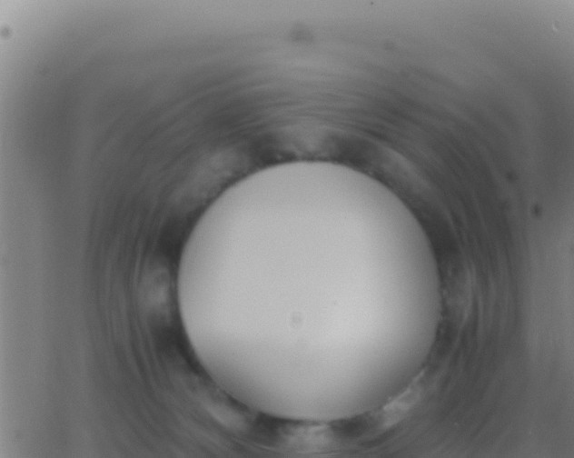 X0000062930132200601202036