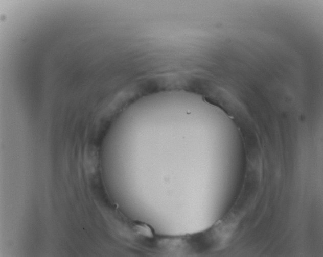 X0000062930133200601202036