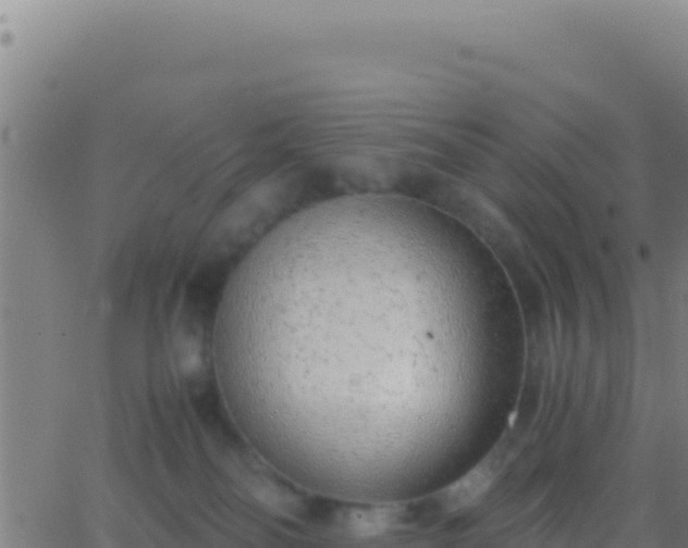 X0000062930134200601202036