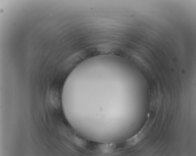 X0000062930136200601202036