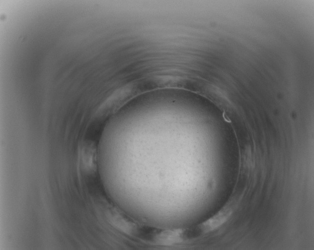 X0000062930138200601202036