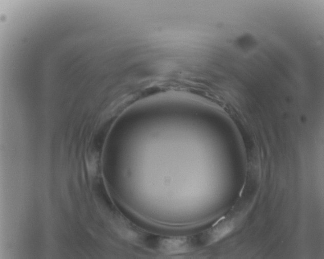 X0000062930139200601202036