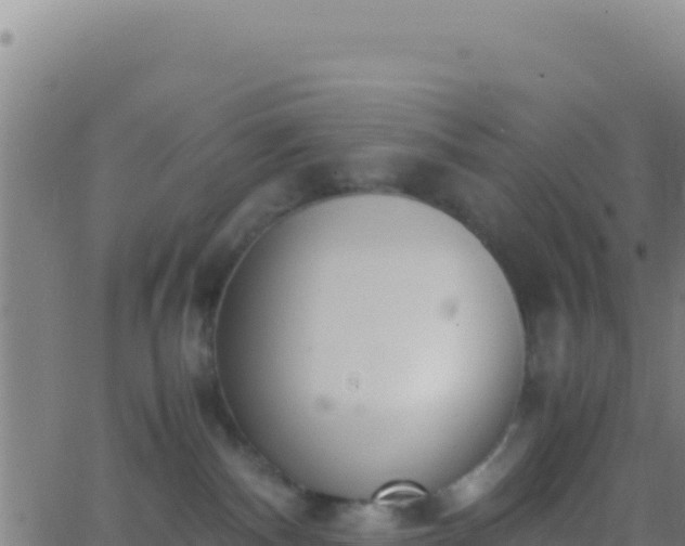 X0000062930140200601202036