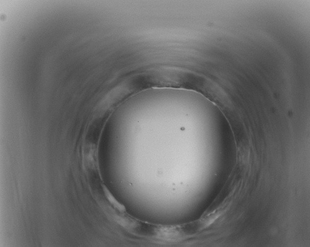 X0000062930141200601202036