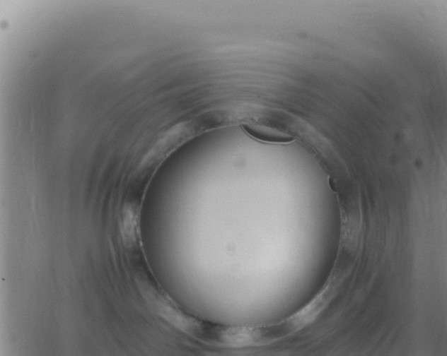 X0000062930142200601202036