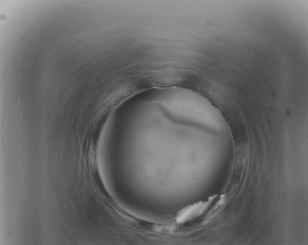 X0000062930143200601202036