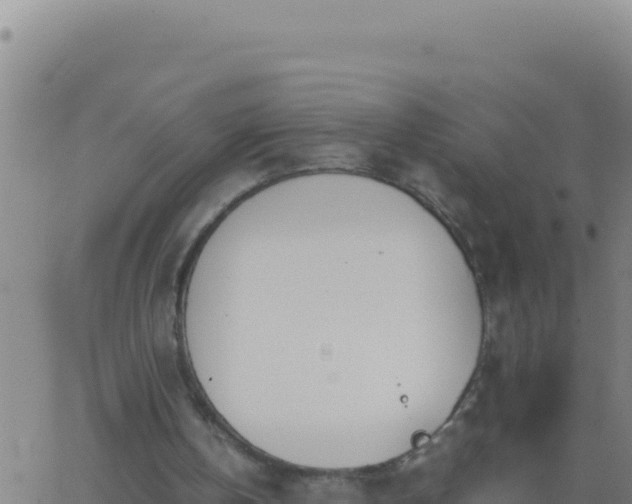 X0000062930146200601202035