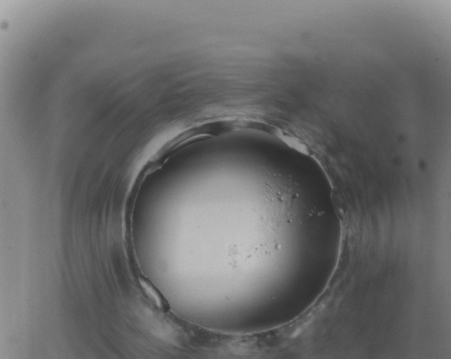 X0000062930148200601202035