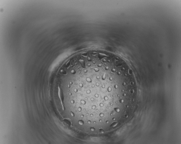 X0000062930149200601202035