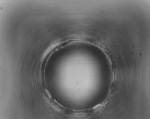 X0000062930150200601202035