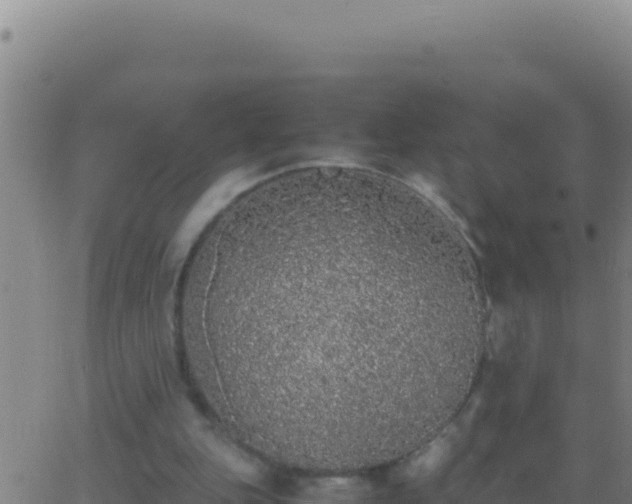 X0000062930151200601202035