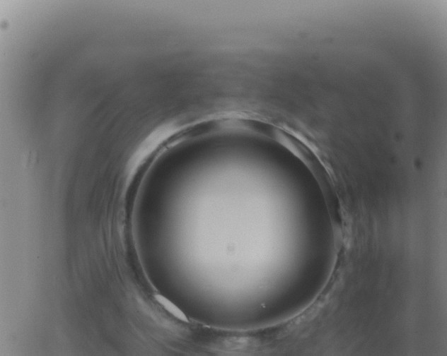 X0000062930152200601202035