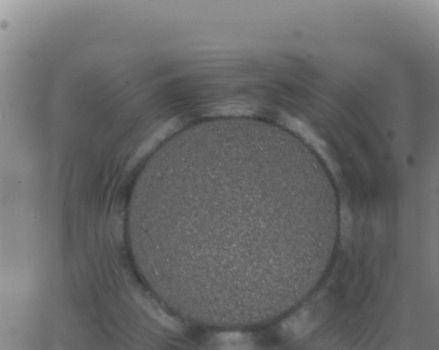 X0000062930153200601202035