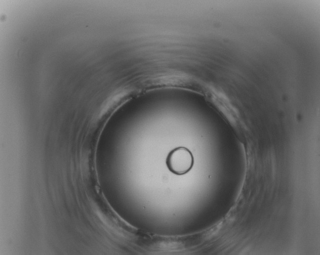 X0000062930154200601202035