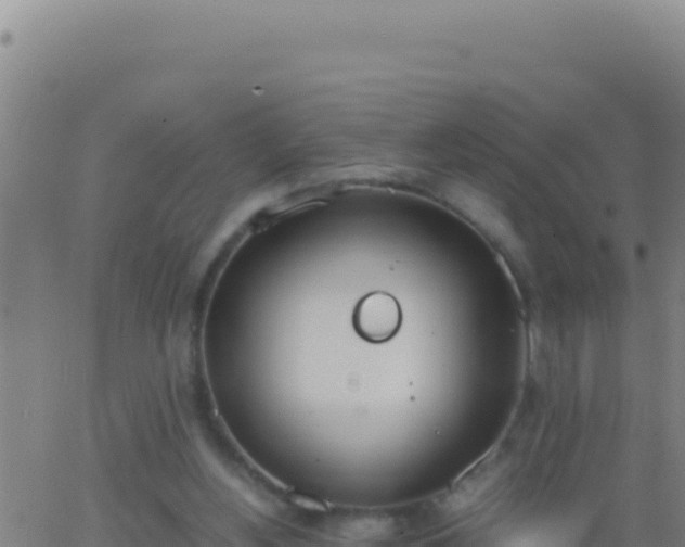 X0000062930156200601202035