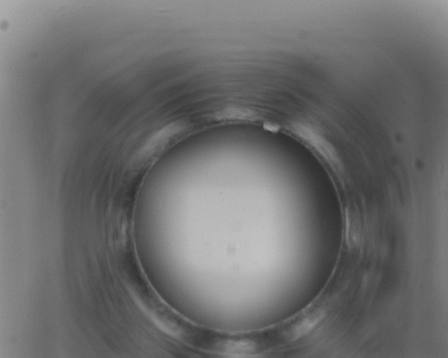 X0000062930157200601202035