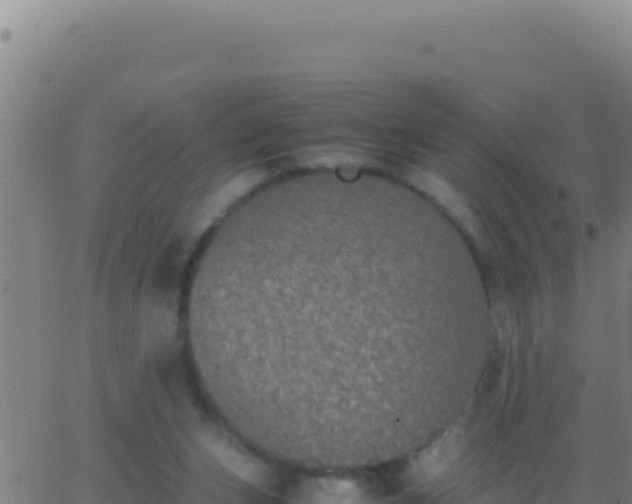 X0000062930159200601202035