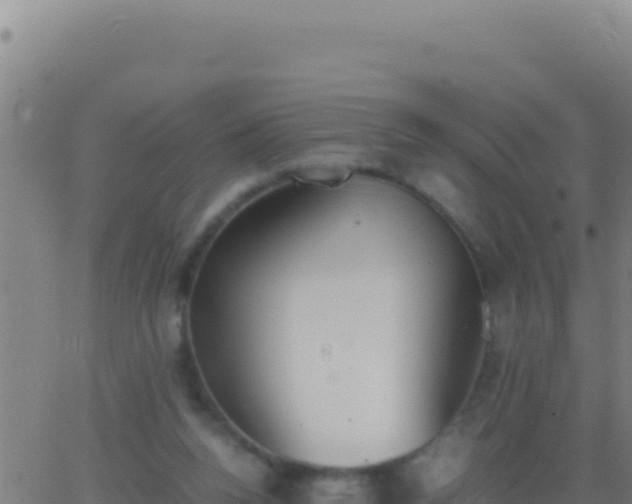 X0000062930160200601202035