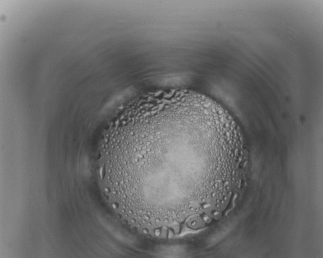 X0000062930161200601202036