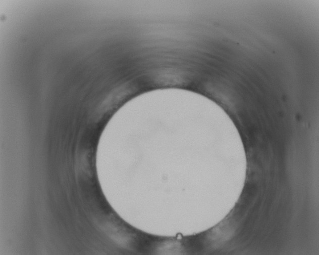 X0000062930162200601202036