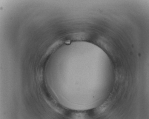 X0000062930163200601202036