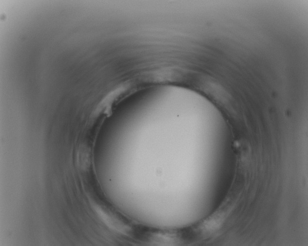 X0000062930164200601202036