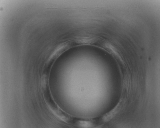 X0000062930167200601202036