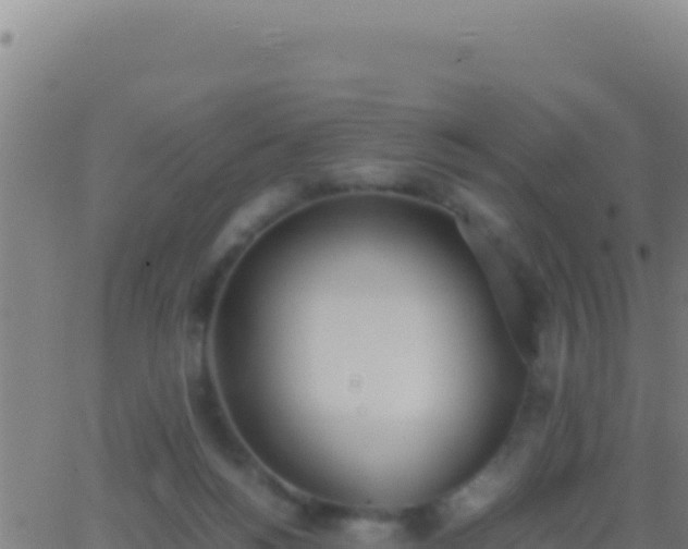 X0000062930168200601202036