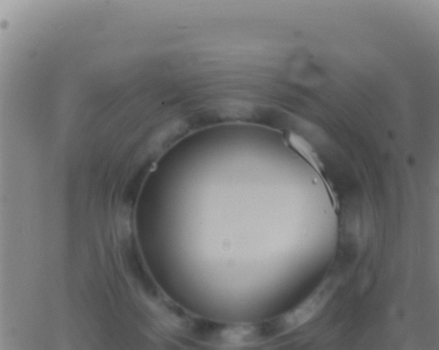 X0000062930172200601202036