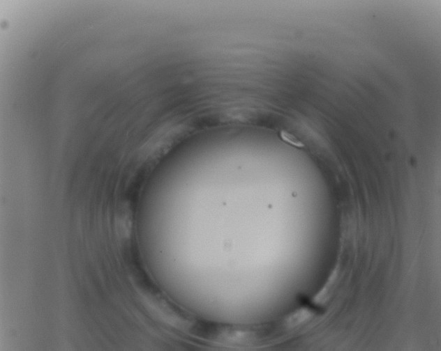 X0000062930174200601202036