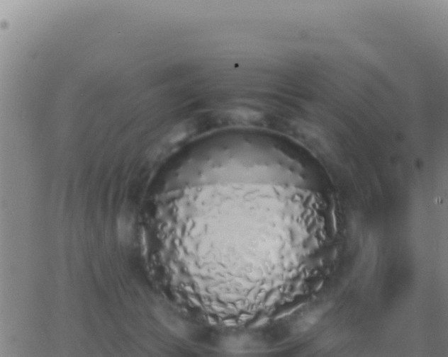 X0000062930177200601202036