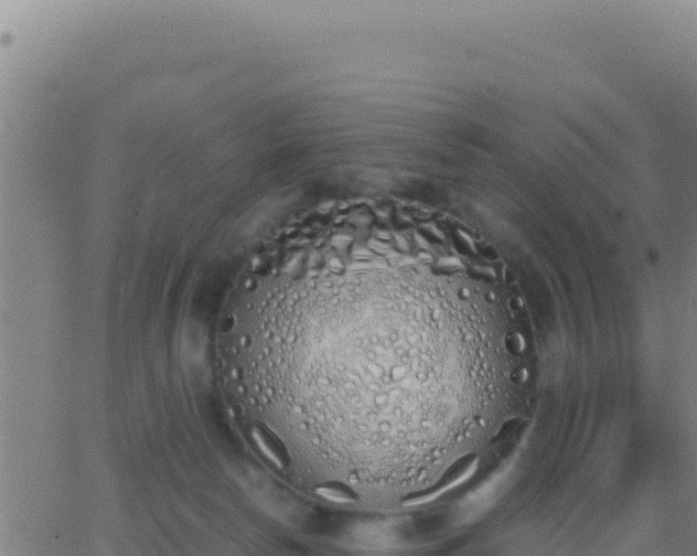 X0000062930178200601202036