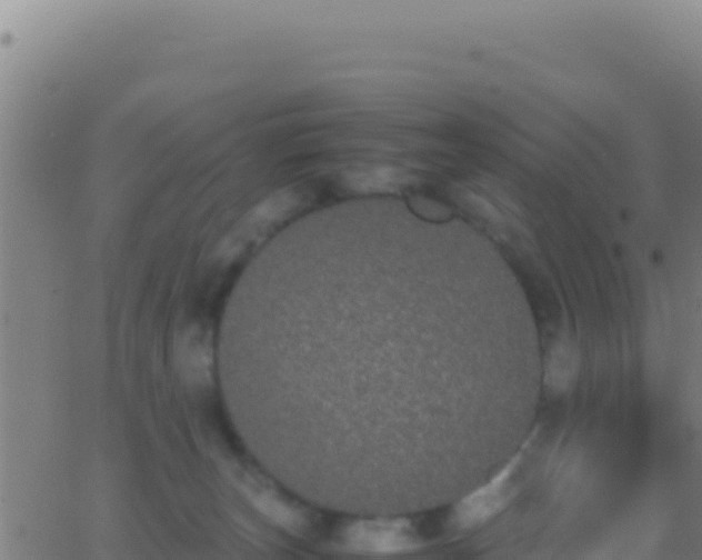 X0000062930179200601202036