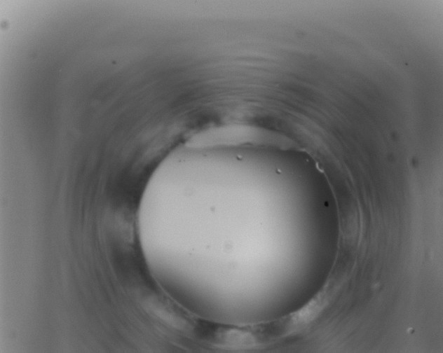 X0000062930180200601202036