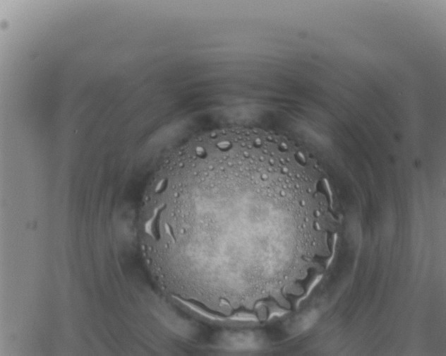 X0000062930181200601202036