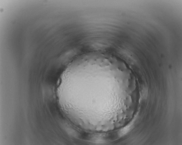 X0000062930182200601202036